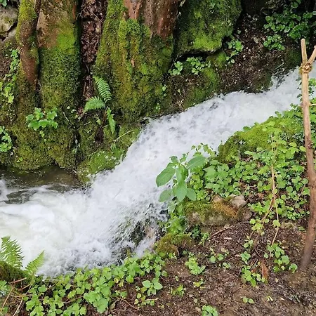 بيت للعطل Beringer Am Kallbach *