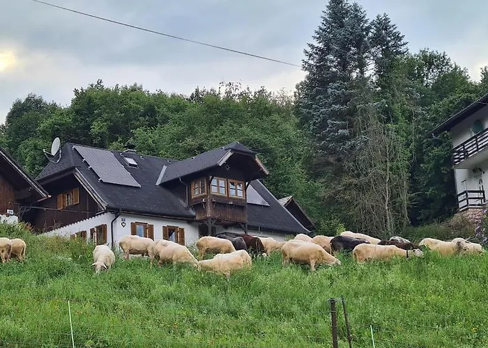 Beringer Am Kallbach