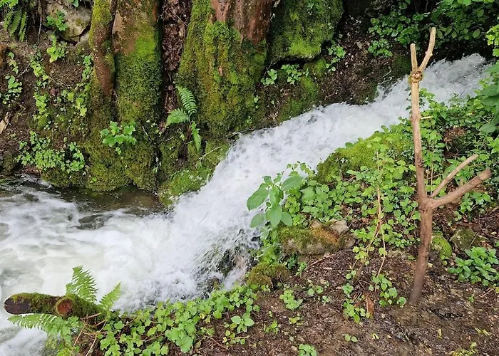 بيت للعطل Beringer Am Kallbach *